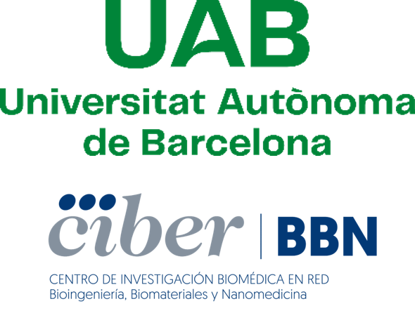 Institut de Biotecnologia i Biomedicina and CIBER-BBN logo