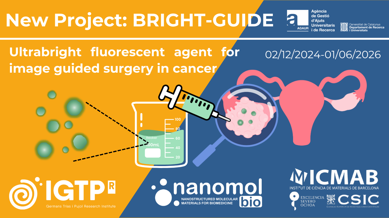New Project to Develop a Fluorescent Agent for Image-Guided Surgery in Cancer