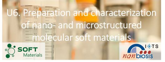 Biomaterials Processing and Nanostructuring Unit, U6-Nanbiosis