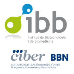 Institut de Biotecnologia i Biomedicina and CIBER-BBN logo