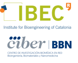 Institut de Bioenginyeria de Catalunya and CIBER-BBN logo