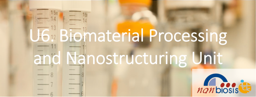 Biomaterials Processing and Nanostructuring Unit, U6-Nanbiosis