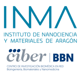 Instituto de Nanociencia y Materiales de Aragón and CIBER-BBN logo