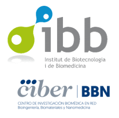 Institut de Biotecnologia i Biomedicina and CIBER-BBN logo