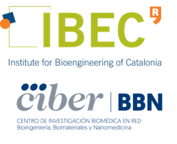Institut de Bioenginyeria de Catalunya and CIBER-BBN logo
