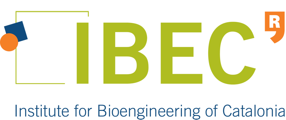 Institut de Bioenginyeria de Catalunya and CIBER-BBN logo
