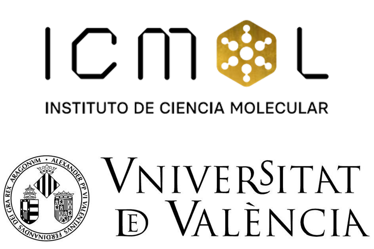 Instituto de Nanociencia y Materiales de Arag&oacute;n and CIBER-BBN logo