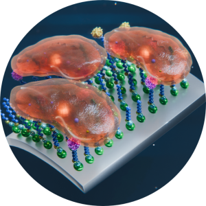 Nanostructured molecular materials for treatment & prevention medicine