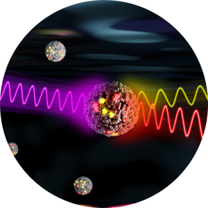 Fluorescent nanovesicles and organic nanoparticles for sensing and bioimaging