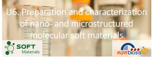 Biomaterials Processing and Nanostructuring Unit, U6-Nanbiosis