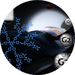 Radical dendrimers and radical nanovesicles as MRI contrast agents and other biomedical applications